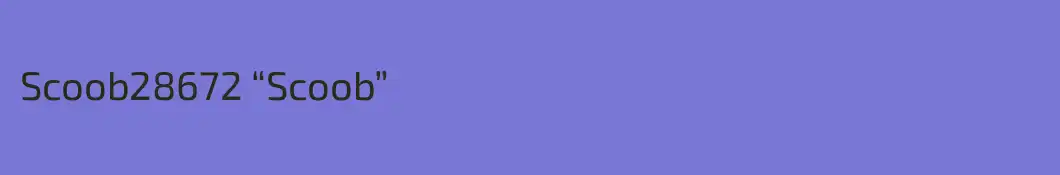 Scoob28672 “Scoob”